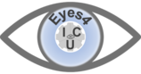 Logo: eyes4icu